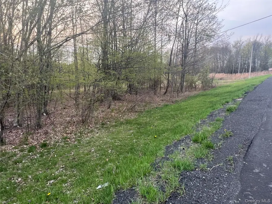 838 Old Liberty Road, Monticello, NY 12701 - Image #3