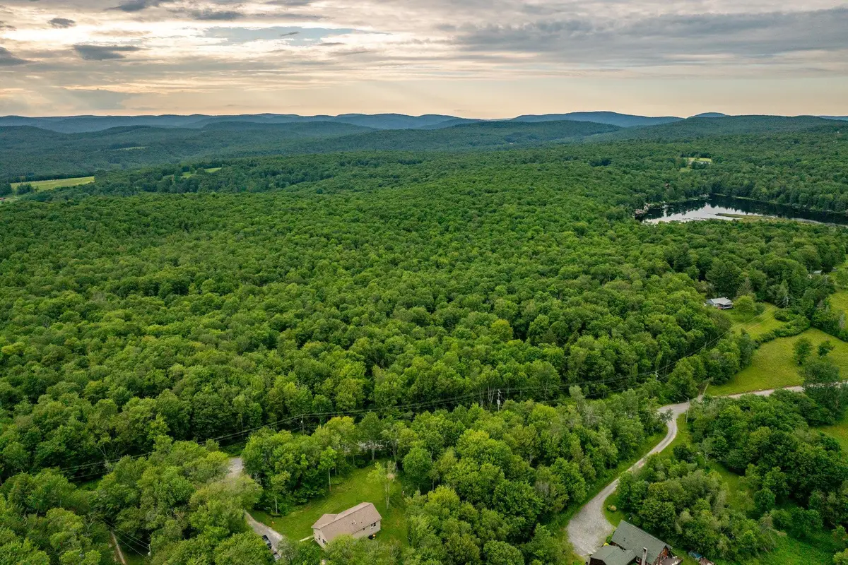 351 White Roe Lake Road, Livingston Manor, NY 12758 - Image #1