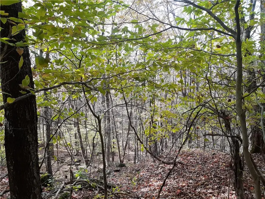 351 White Roe Lake Road, Livingston Manor, NY 12758 - Image #3