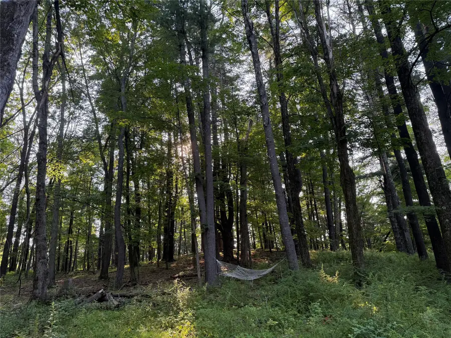 393 County Route 2, Accord, NY 12404 - Image #3