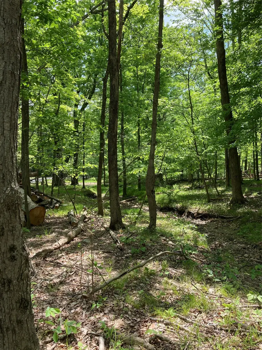 716 Upper Mountain Road, Pine Bush, NY 12566 - Image #3