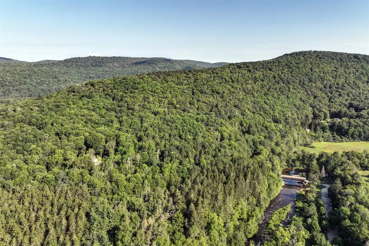 821 Berry Brook Road, Roscoe, NY 12776 - #1