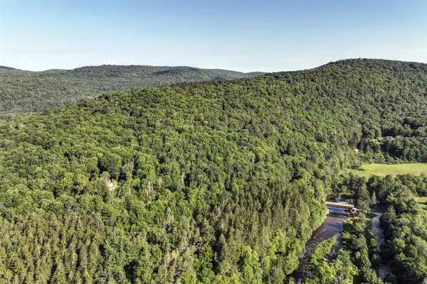 821 Berry Brook Road, Roscoe, NY 12776