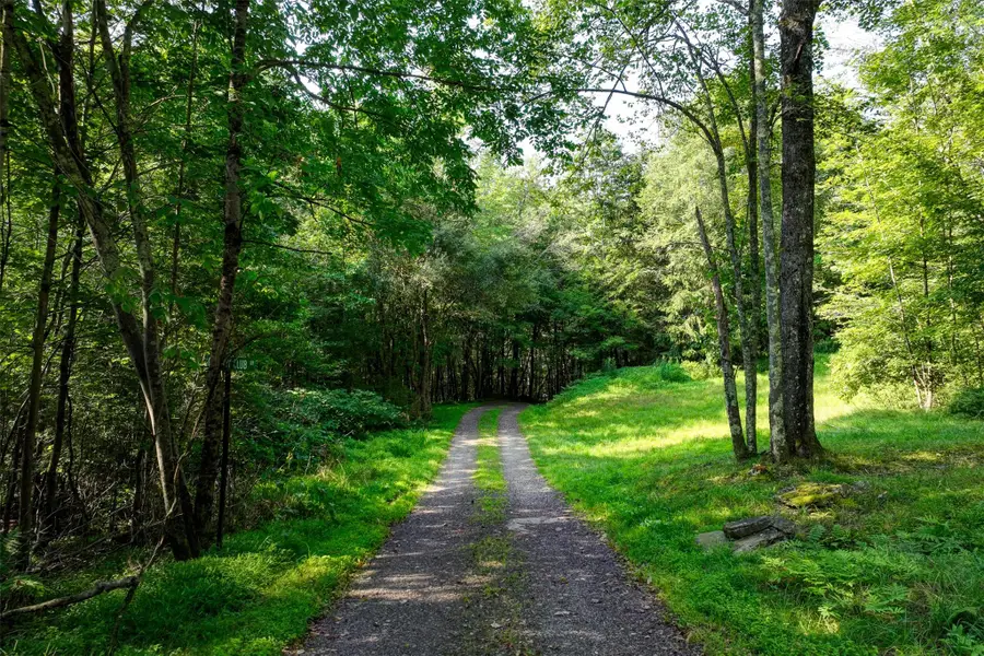 821 Berry Brook Road, Roscoe, NY 12776 - #2