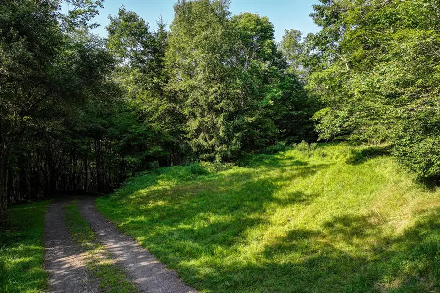 821 Berry Brook Road, Roscoe, NY 12776 - #3