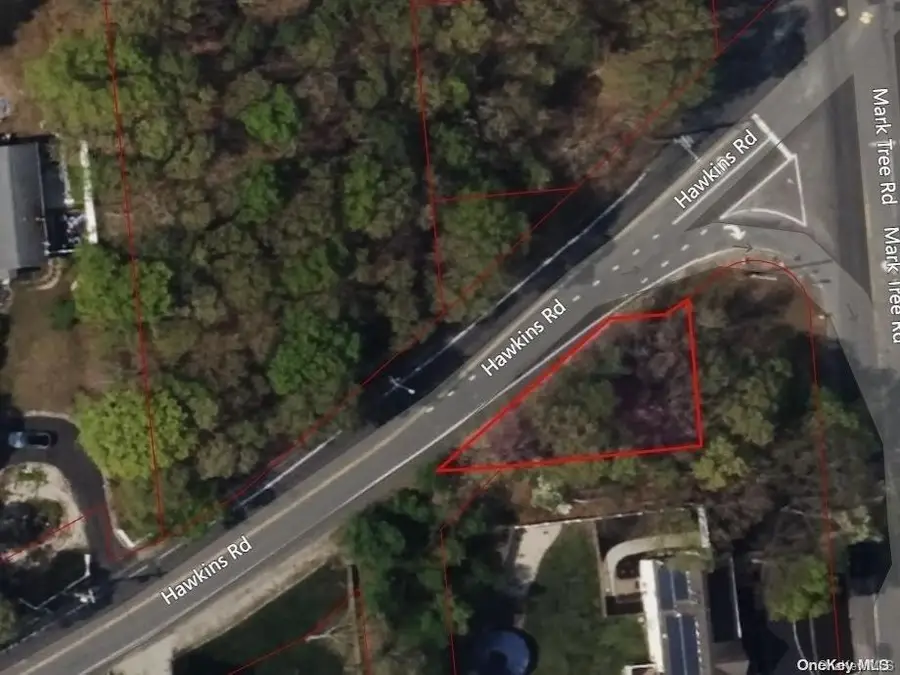 Forest Rd Court, Ronkonkoma, NY 11779 - Image #2