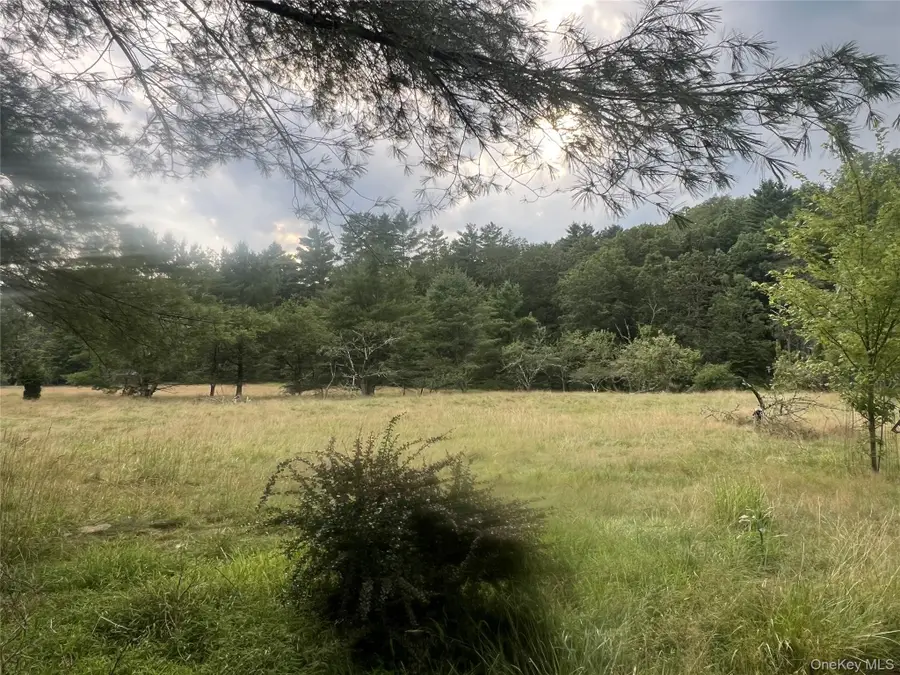 259 Lackawaxen Road, Narrowsburg, NY 12764 - Image #3