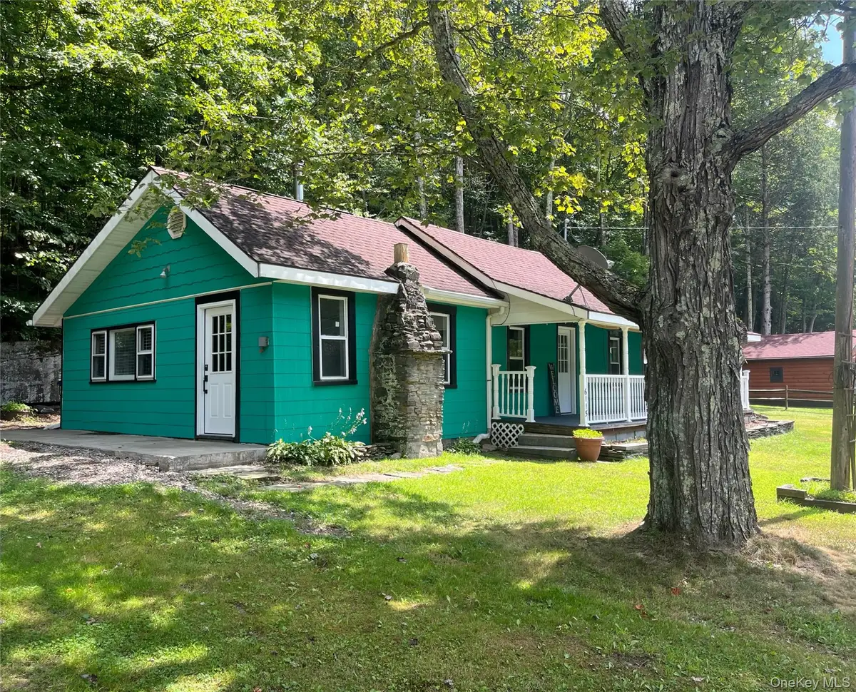 6115 State Route 52, Cochecton, NY 12726 - Image #1