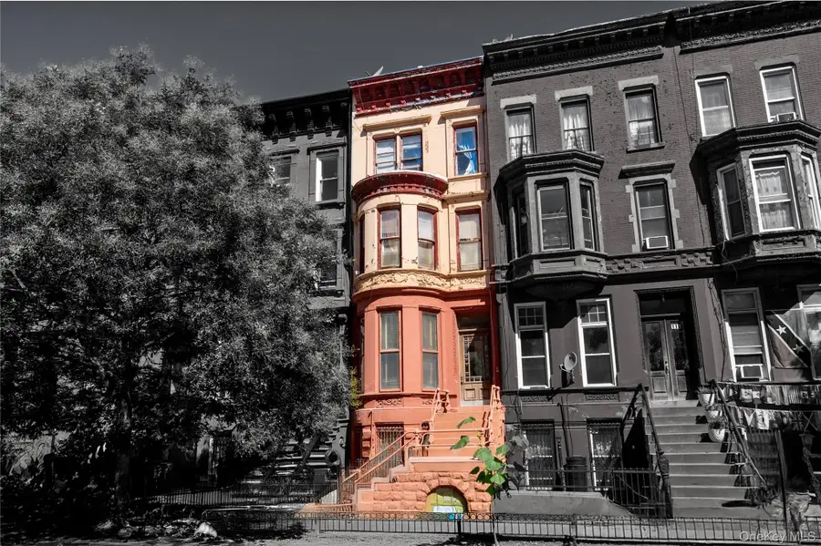 113 Halsey Street, Brooklyn, NY 11216 - Image #2