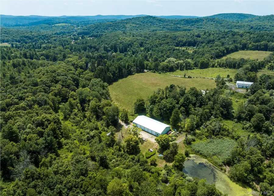 174 County Route 11, Pine Plains, NY 12567 - Image #3