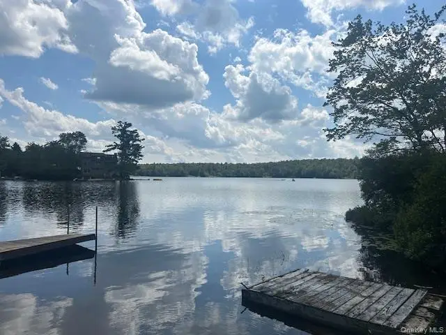 94 Park Drive, Parksville, NY 12768 - Image #1