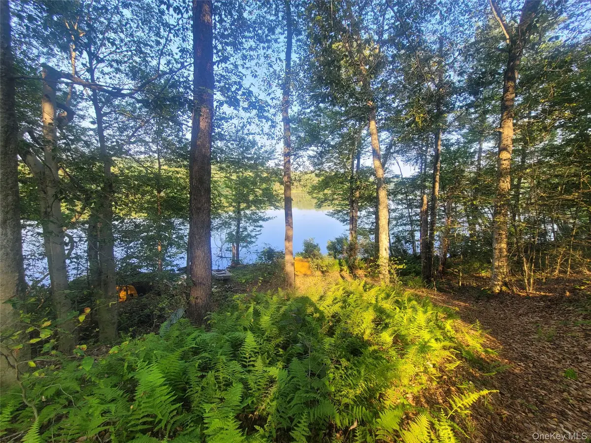 575 Shore Road, Swan Lake, NY 12783 - #1