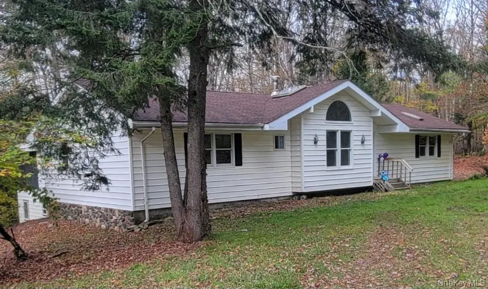 21 Browns Road, Livingston Manor, NY 12758 - Image #1