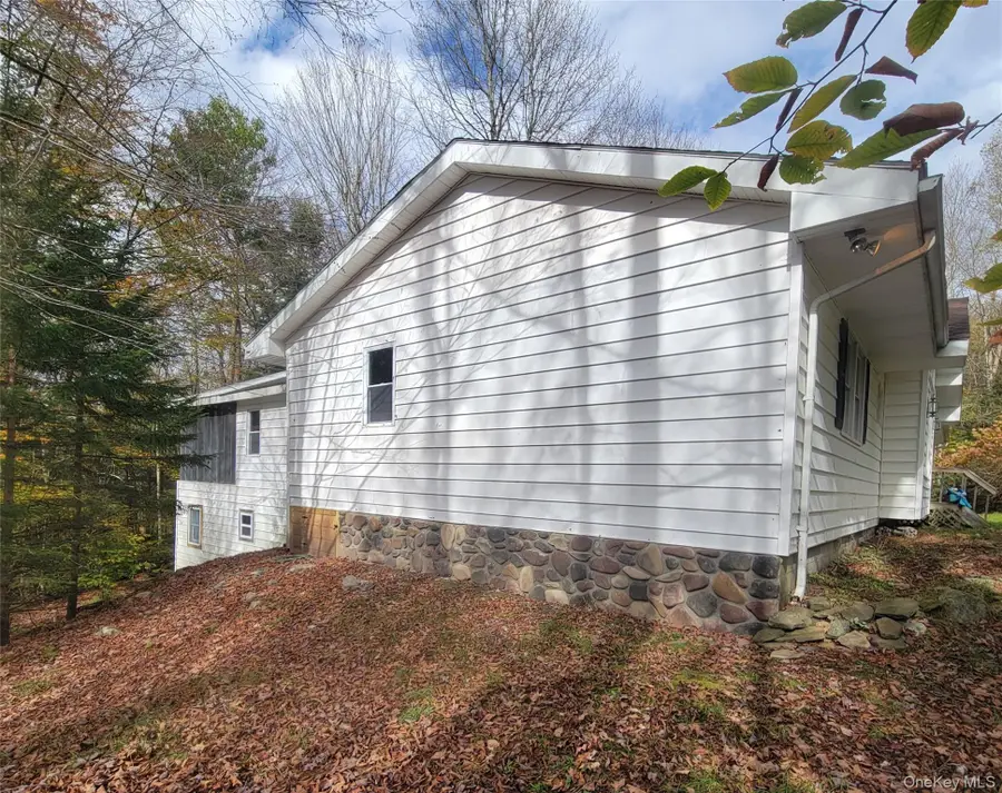 21 Browns Road, Livingston Manor, NY 12758 - Image #2