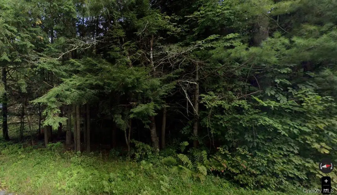 191 Elm Hollow Road, Livingston Manor, NY 12758 - Image #1