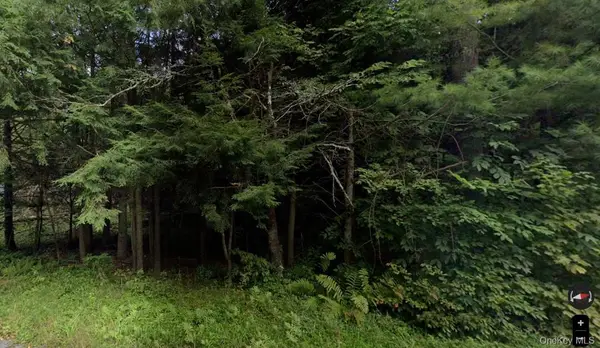 191 Elm Hollow Road, Livingston Manor, NY 12758