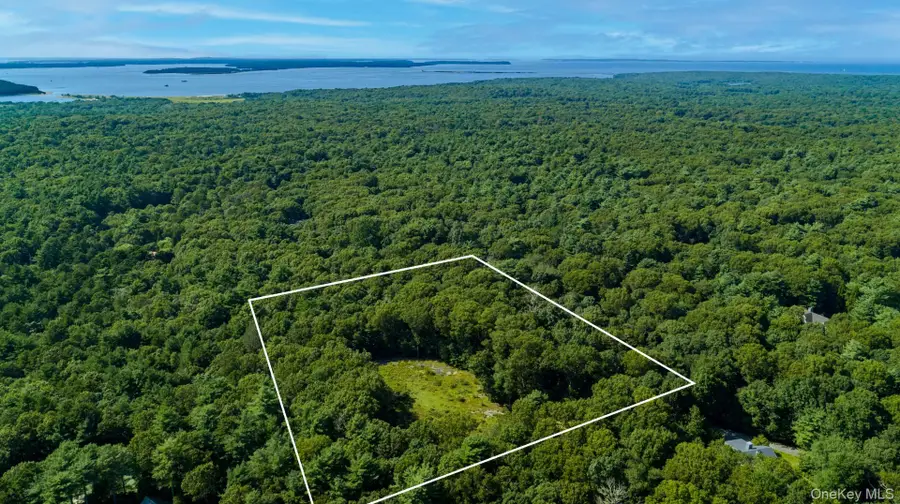 1593 Deerfield Road, Water Mill, NY 11976 - Image #2