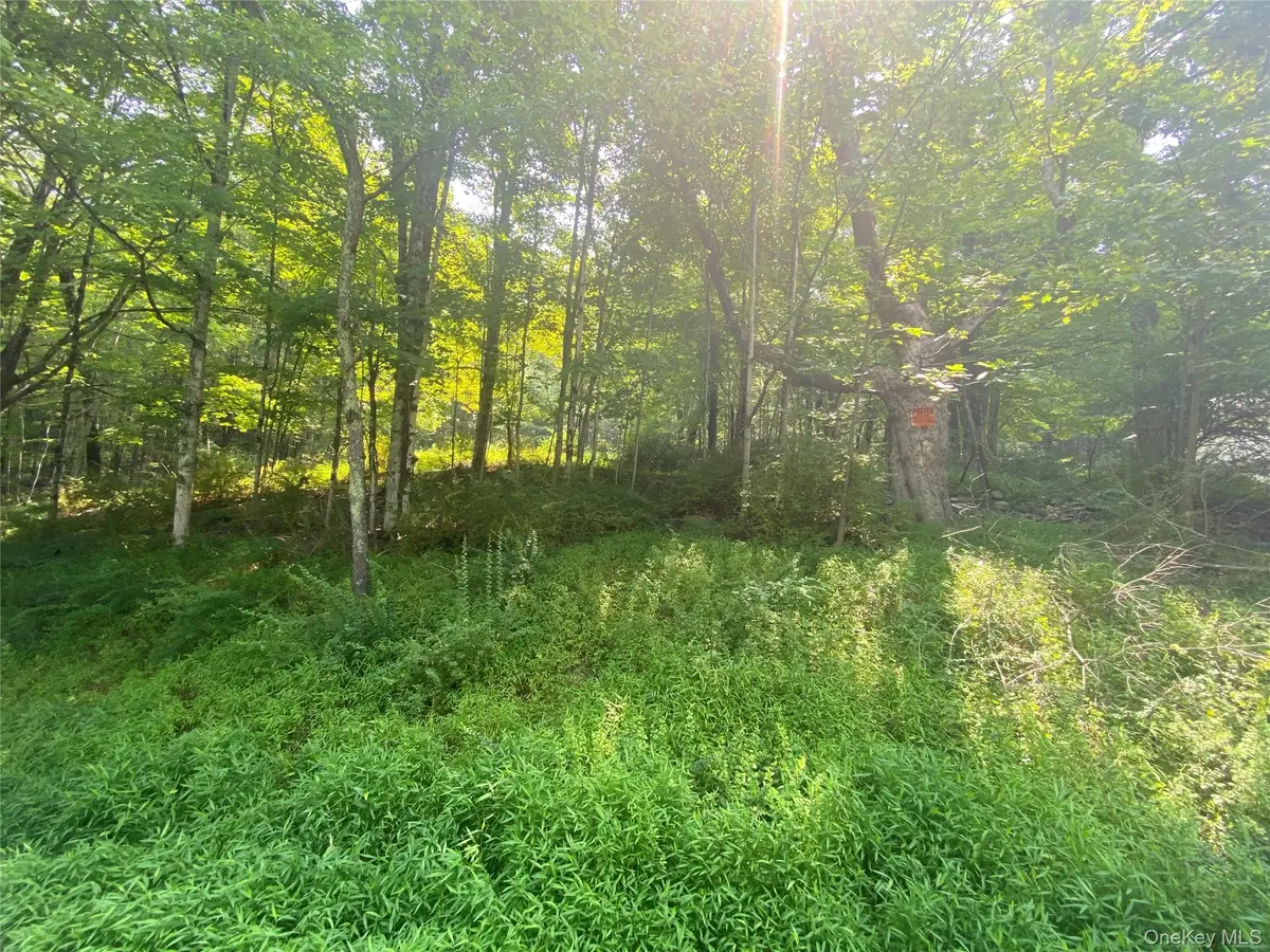 South Road, Wurtsboro, NY 12790 - Image #1