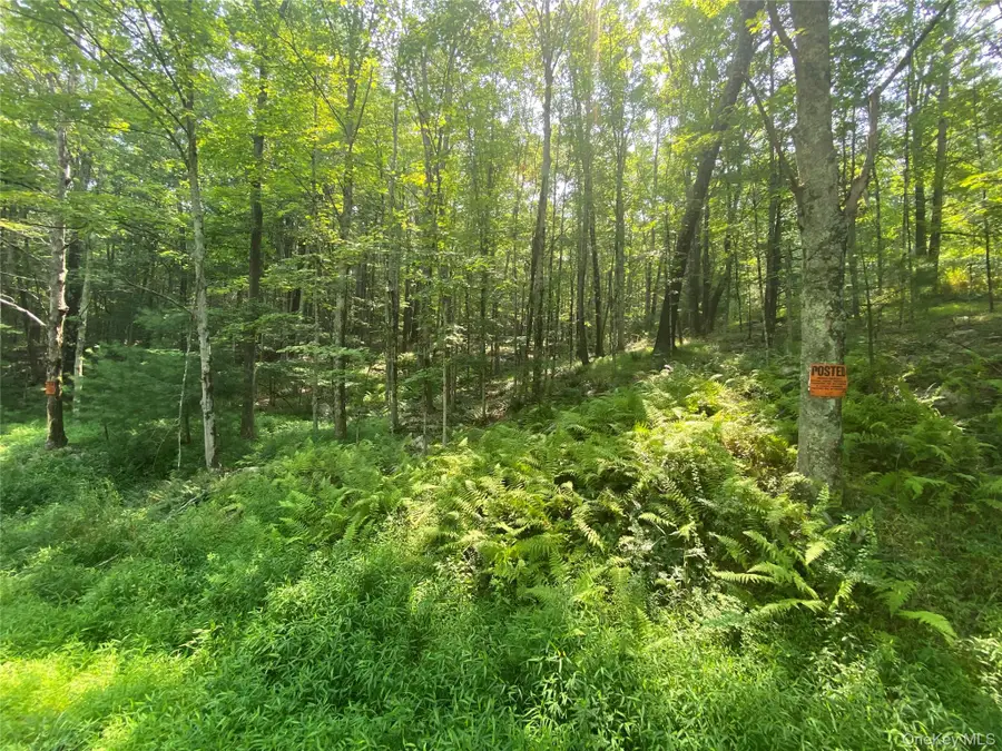 South Road, Wurtsboro, NY 12790 - Image #2