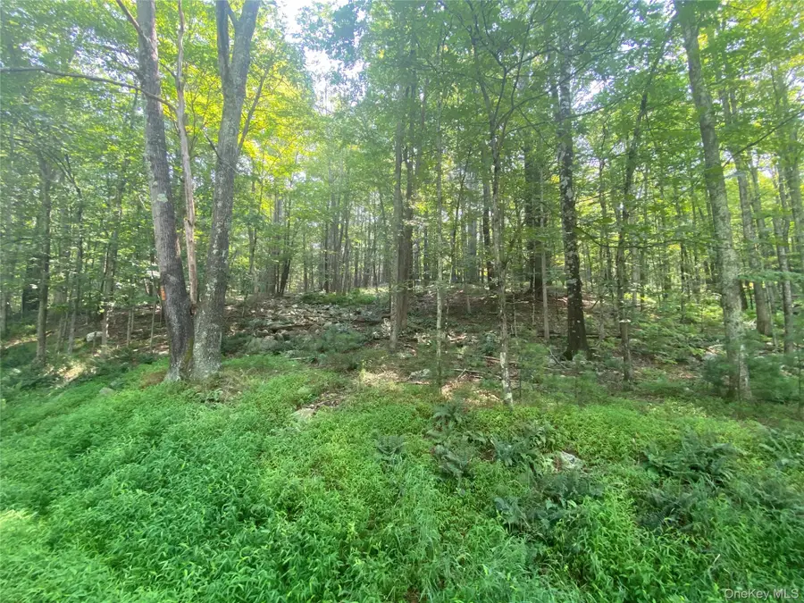 South Road, Wurtsboro, NY 12790 - Image #3