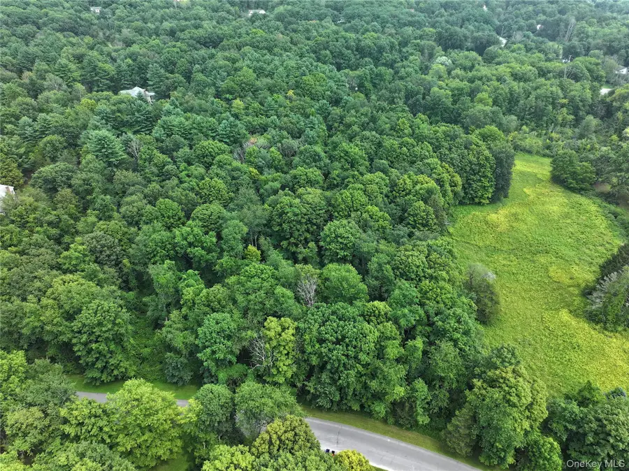 TBD Deer Run Road, Red Hook, NY 12571 - Image #2