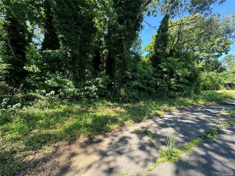 215 Cortland Street, Copiague, NY 11726 - Image #2