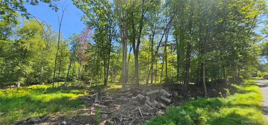 Lot 50 Deep Hollow Hill Road, Narrowsburg, NY 12764 - Image #2