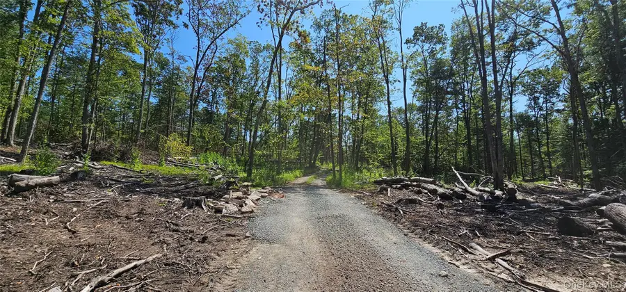 Lot 8.1 Eckes Road, Narrowsburg, NY 12764 - #2