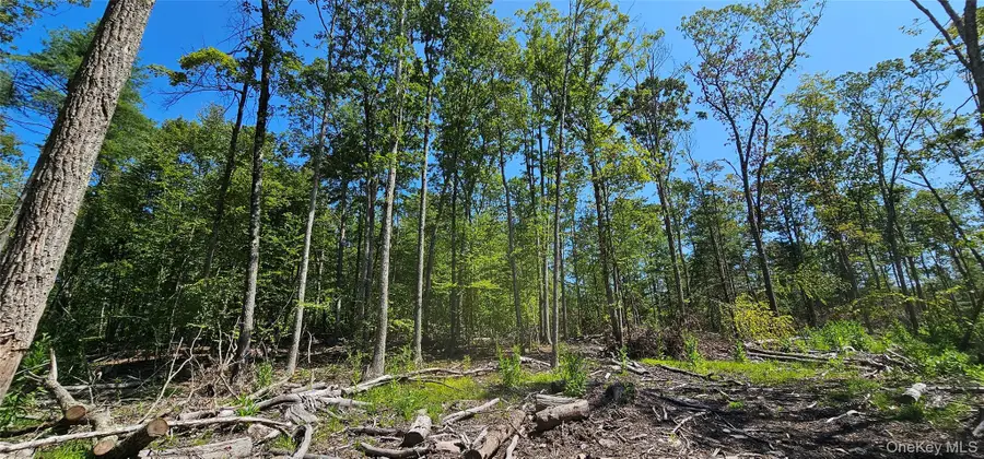 Lot 8.1 Eckes Road, Narrowsburg, NY 12764 - #3