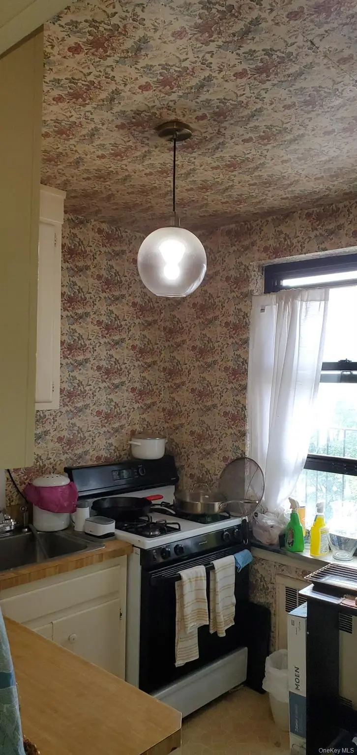 25-12 Union Street #3B, Flushing, NY 11354 - Image #3