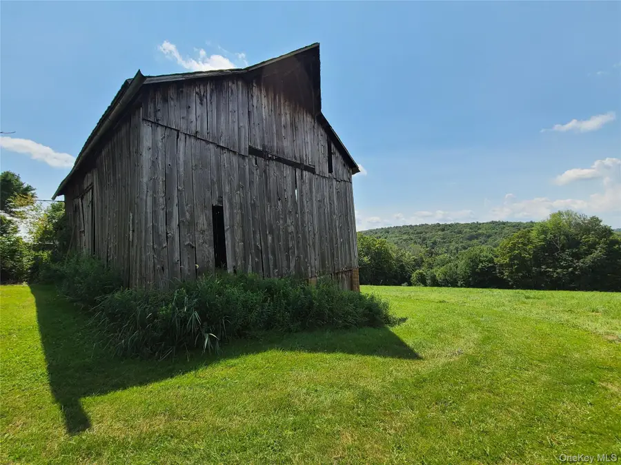 299-301 Stump Pond Road, Livingston Manor, NY 12758 - Image #2