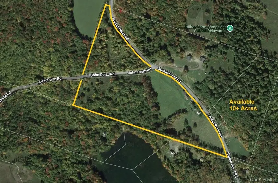 299-301 Stump Pond Road, Livingston Manor, NY 12758 - Image #3