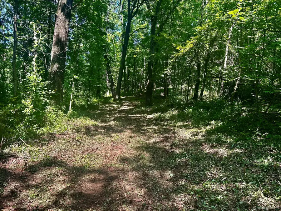 109 Deer Run Road, Red Hook, NY 12571 - Image #3