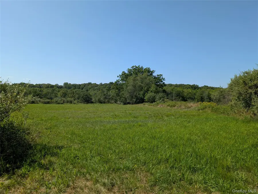 2024 Mount Hope Road, Middletown, NY  - Image #2