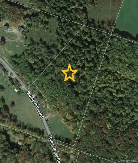 Stump Pond Road, Livingston Manor, NY 12758 - Image #2