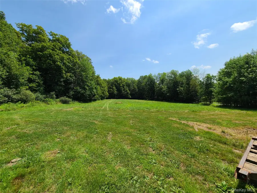 Stump Pond Road, Livingston Manor, NY 12758 - Image #3