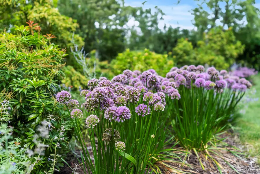 30 Huckleberry Lane, East Hampton, NY 11937 - Image #3