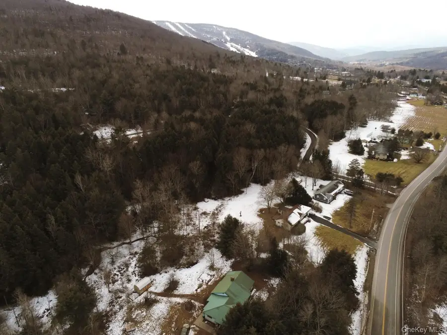 61 South Street, Windham, NY 12496 - Image #3