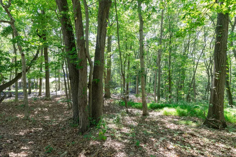 Belle Terre Road, Port Jefferson, NY  - Image #2