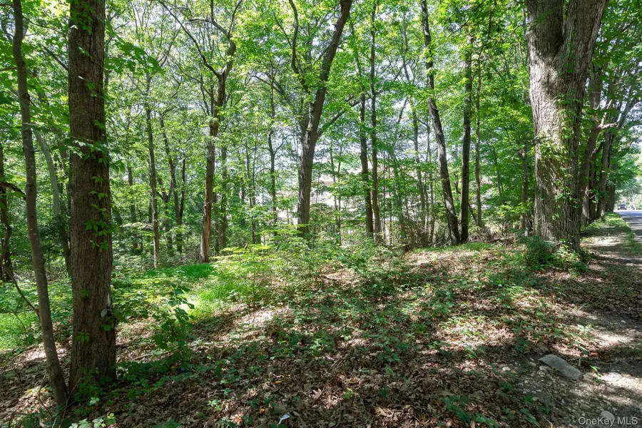 Belle Terre Road, Port Jefferson, NY  - Image #3