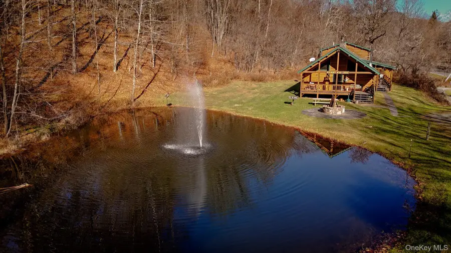 201 Basket Brook Rd, Long Eddy, NY 12760 - Image #2