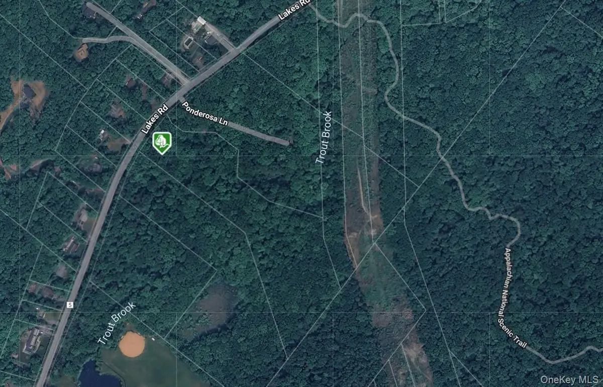 1171 Lakes Road, Monroe, NY 10950 - Image #1