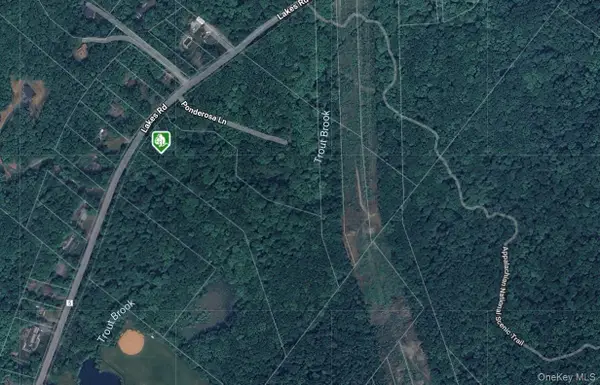 1171 Lakes Road, Monroe, NY 10950