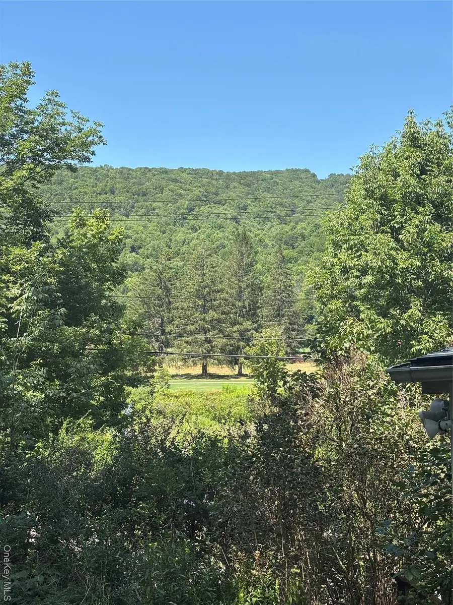 50 Mcguire Road, Margaretville, NY 12455 - Image #3