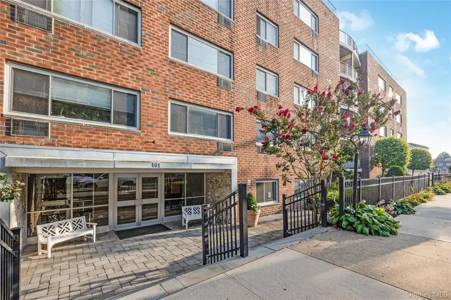 101 Clinton Avenue #1A, Mineola, NY 11501 - Image #2