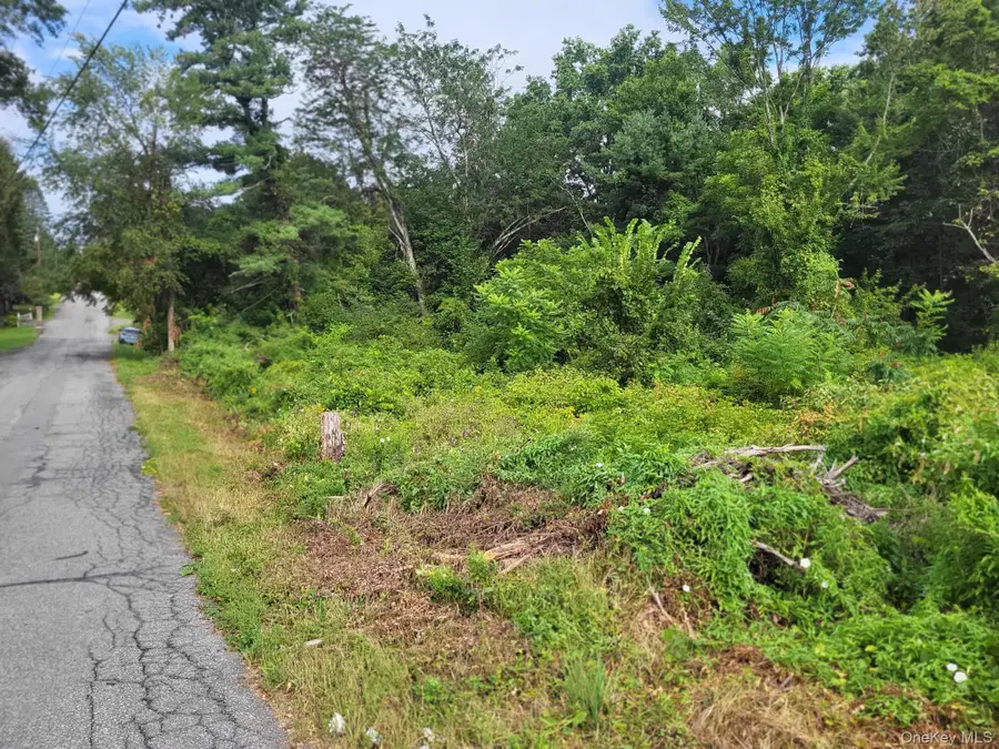 W NYS RTE 208 Highway (bona Ventura) Avenue, Wallkill, NY 12589 - Image #2