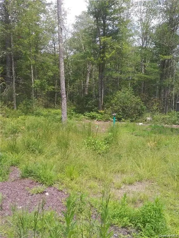 1131 Forestburgh Road, Glen Spey, NY 12737 - Image #3