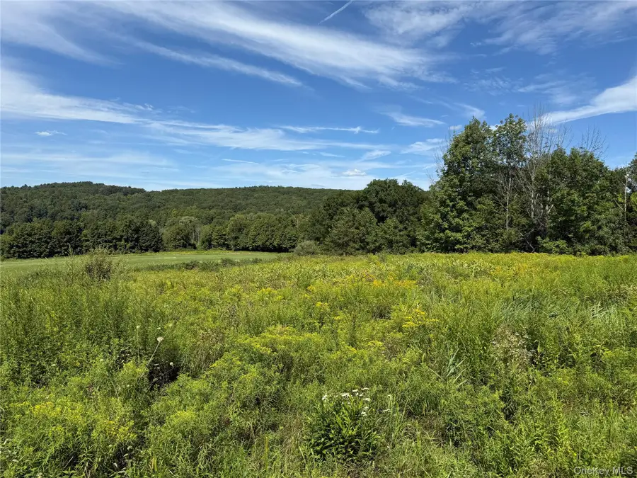 4848 Route 44, Amenia, NY 12501 - Image #3