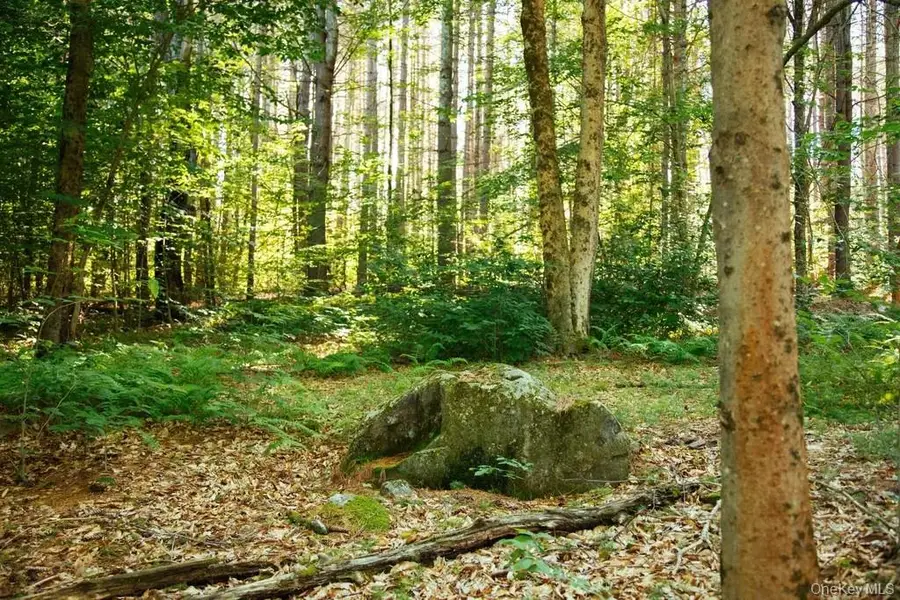 Lot 1 Woodstone Trail, Bethel, NY 12737 - Image #2