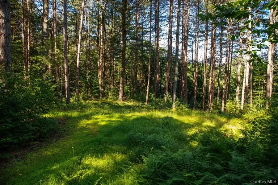Lot 1 Woodstone Trail, Bethel, NY 12737 - Image #3